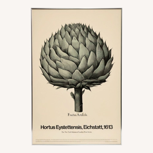 Used 1613 Botanical Art Print – Fructus Artischi for sale on AptDeco