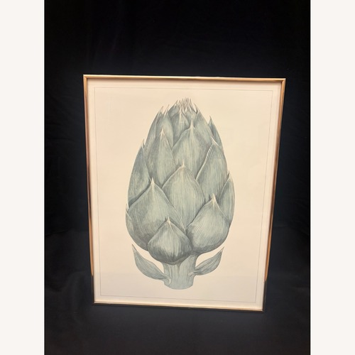 Used Botanical Artichoke Illustration Poster for sale on AptDeco