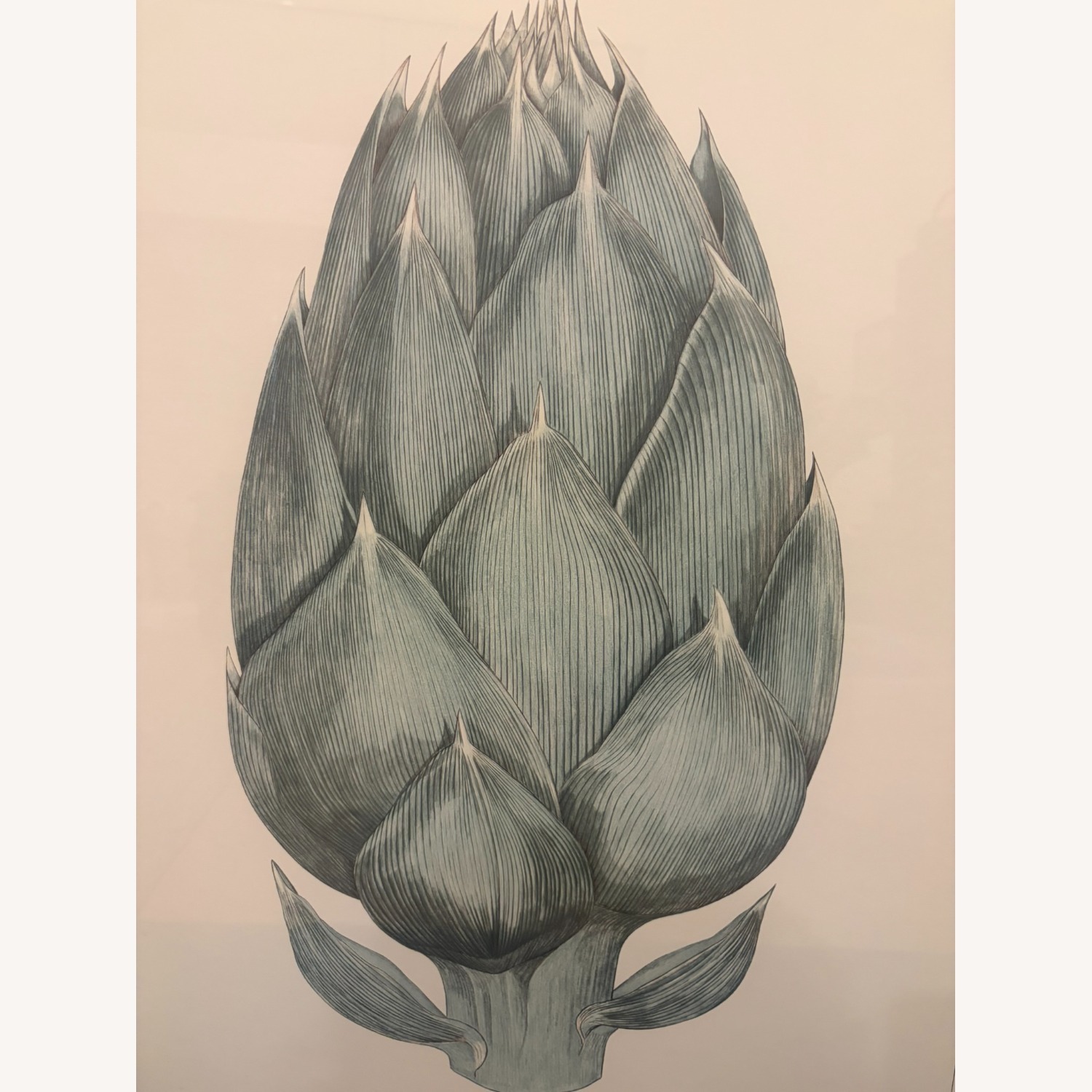 Botanical Artichoke Illustration Poster - image-2