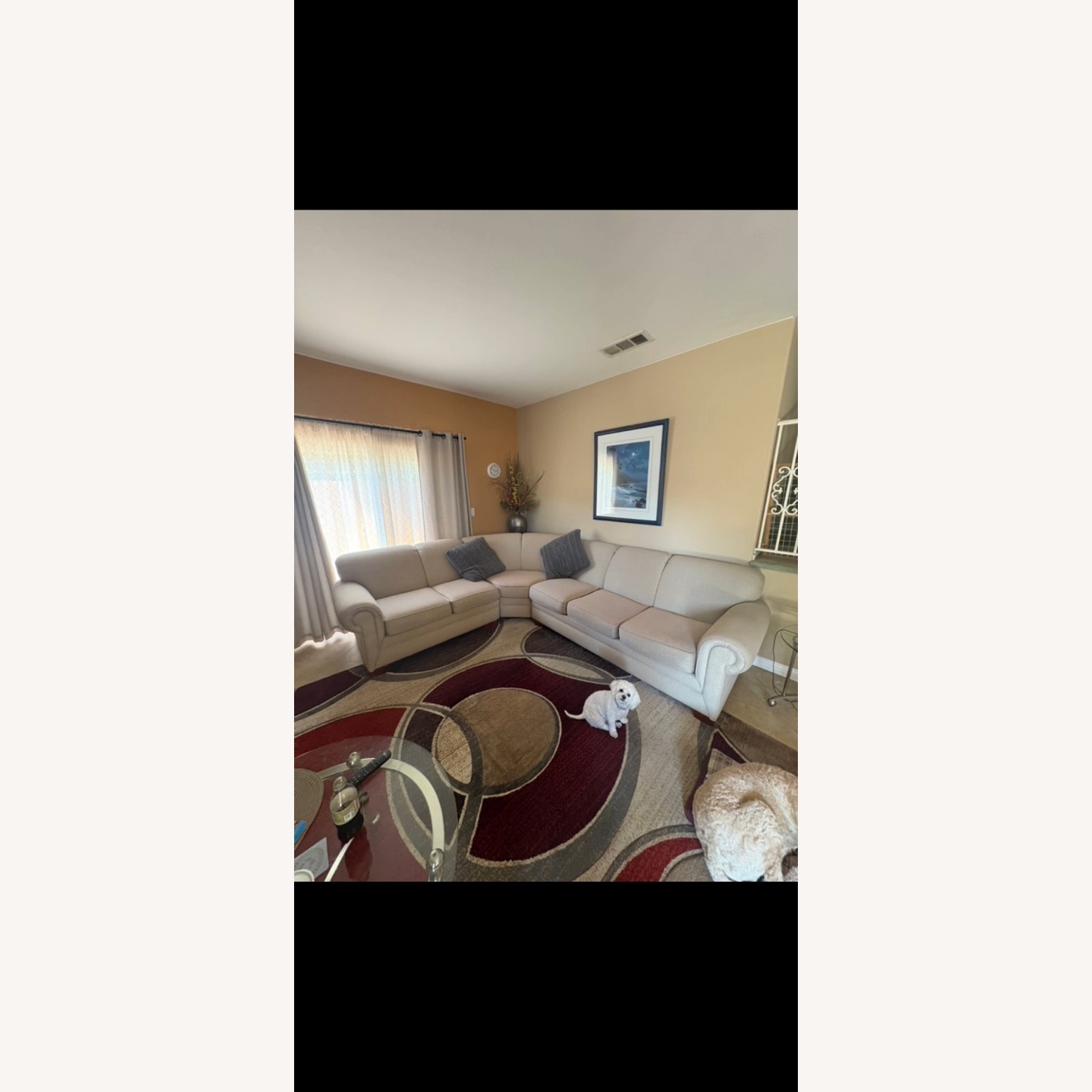 Natural Warm Neutral Sectional Sofa - image-1
