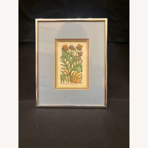 Used Antique Botanical Engraving, Cir. 1600, Certified for sale on AptDeco