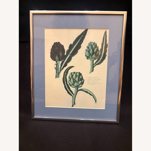 Used Framed Artichoke Botanical Print for sale on AptDeco