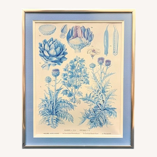 Used Oxford Food Plants Globe Artichoke Botanical Print for sale on AptDeco