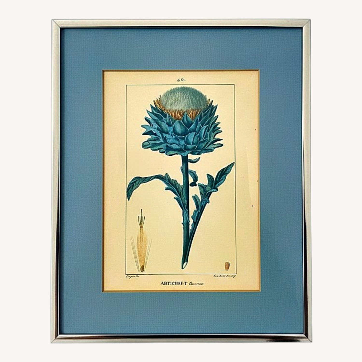 c1814 Turpin Artichaut Hand Colored Engraving - image-0