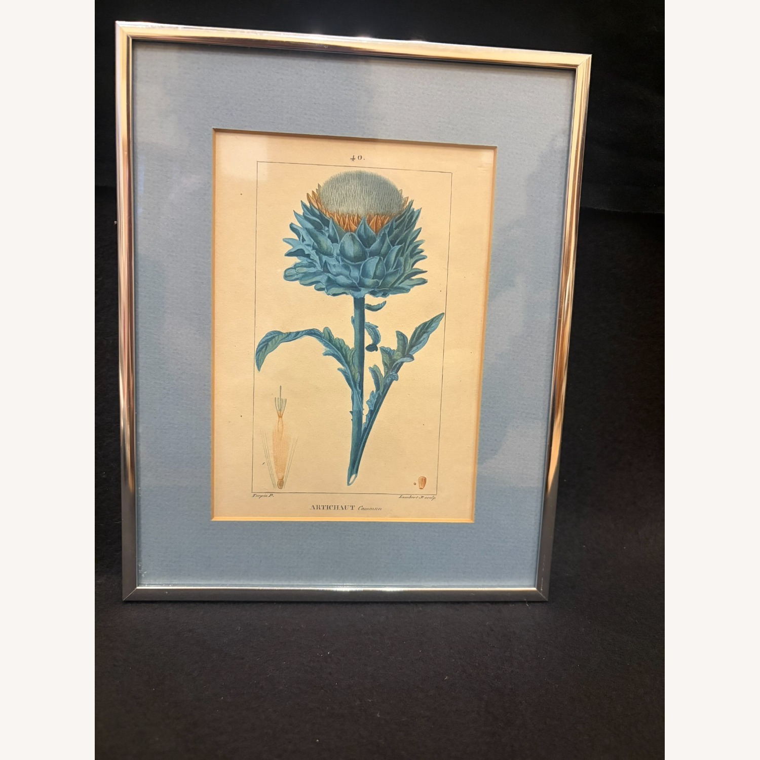 c1814 Turpin Artichaut Hand Colored Engraving - image-1
