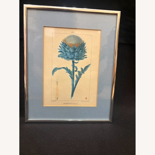 Used c1814 Turpin Artichaut Hand Colored Engraving for sale on AptDeco