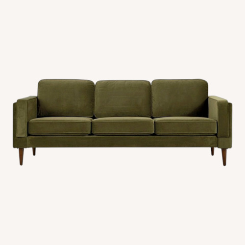 Used Albany Park Olive Green Sofa for sale on AptDeco