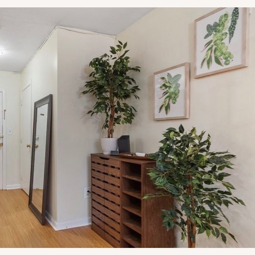 Used Amazon Dark Brown Wood Décor for sale on AptDeco