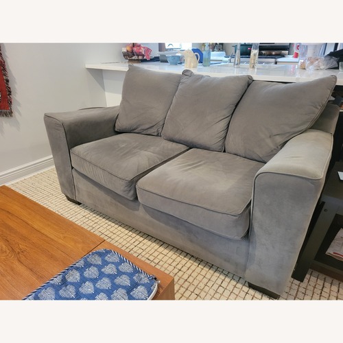 Used Light Gray 2 Seater Sofa for sale on AptDeco
