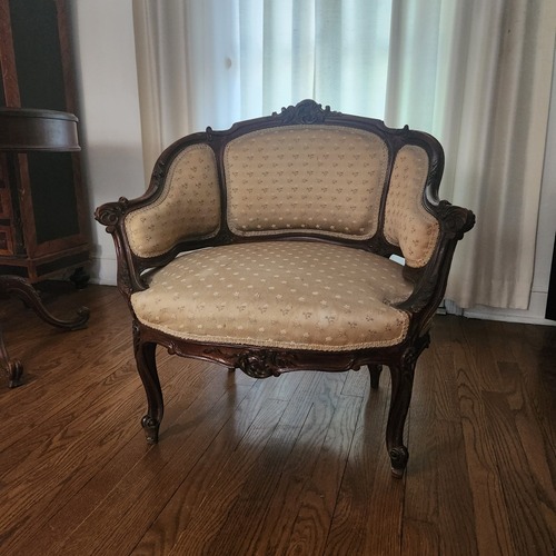 Used Vintage/Antique French Bergere Arm Chair for sale on AptDeco
