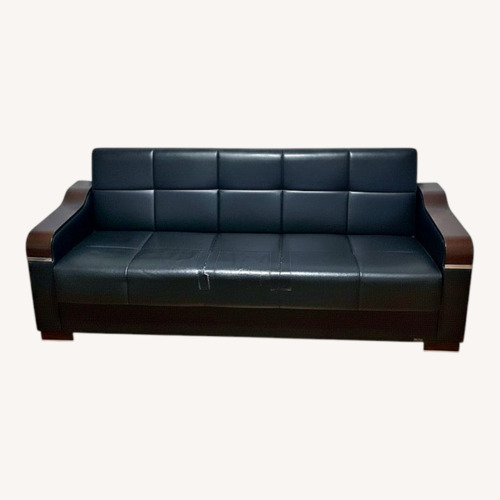 Used Kilim Sleeper Sofa with storage for sale on AptDeco