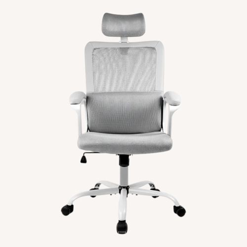Used Amazon Ergonomic Mesh Office Computer Chair for sale on AptDeco
