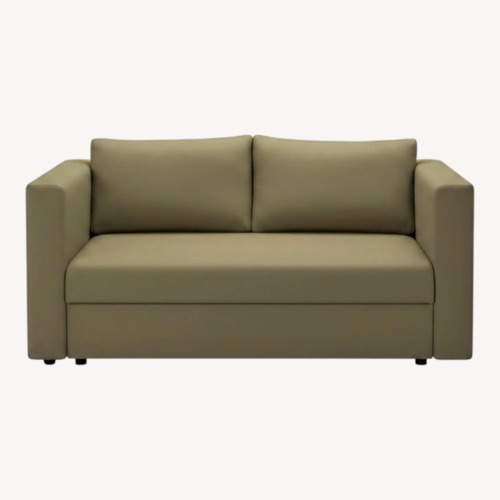 Used IKEA Skonaback Sleeper Sofa for sale on AptDeco
