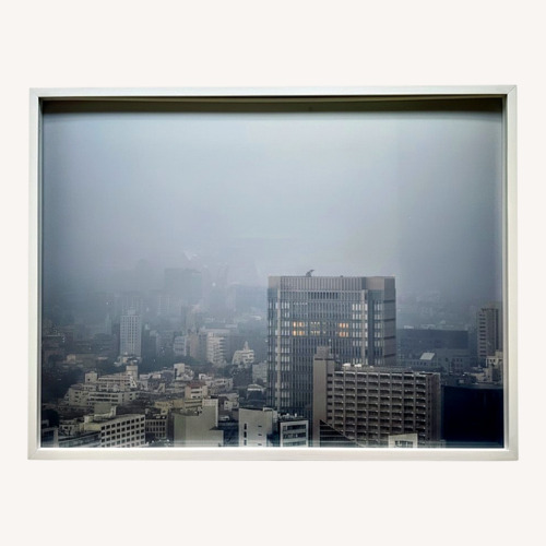 Used Photograph of urban-scape Tokyo  for sale on AptDeco