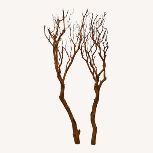 Used 5 foot Tall Sandblasted Manzanita Branches  for sale on AptDeco