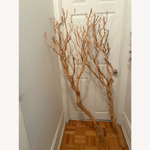 Used 5 foot Tall Sandblasted Manzanita Branches  for sale on AptDeco