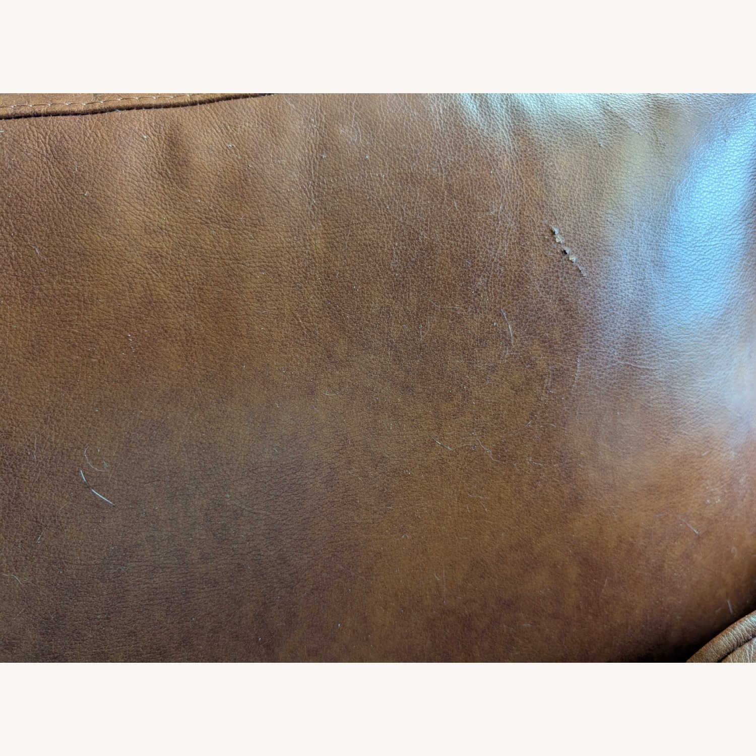 Burrow Nomad Light Brown Leather Loveseat with Ottoman - image-15