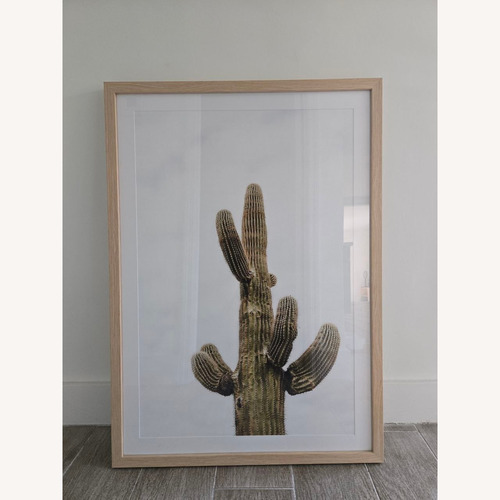 Used Amazon Saguaro by Wesley and Emma Teague for sale on AptDeco