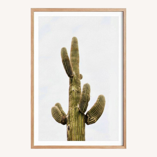 Used Amazon Saguaro by Wesley and Emma Teague for sale on AptDeco