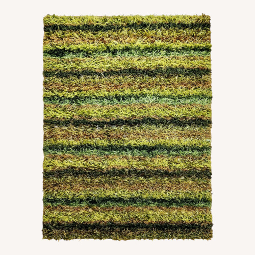 Used Chandra Kubu Textured Green Shag Area Rug 5x7.5 for sale on AptDeco