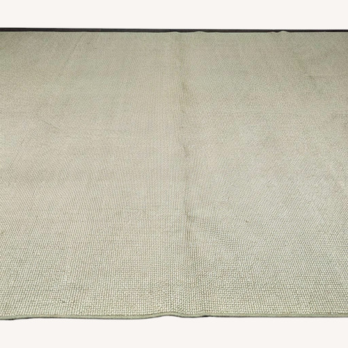 Used Large Neutral Woven Area Rug for sale on AptDeco