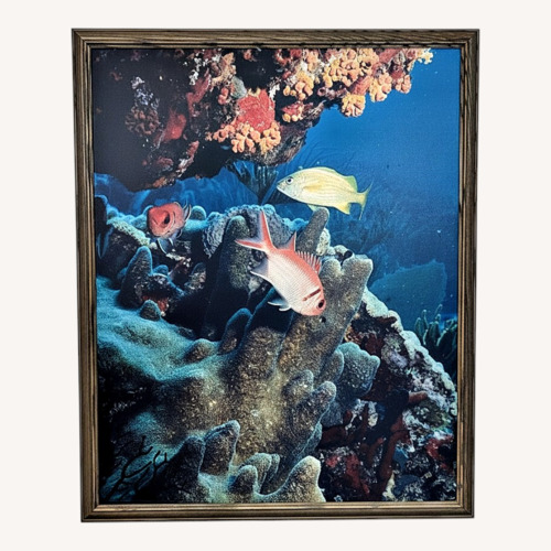 Used Framed Underwater Coral Reef Fish Print Wall Art for sale on AptDeco