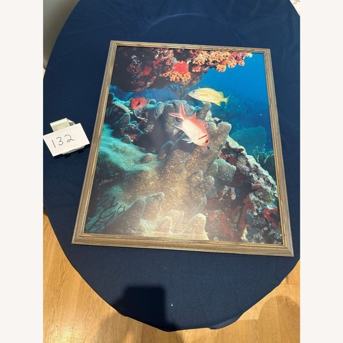 Used Framed Underwater Coral Reef Fish Print Wall Art for sale on AptDeco