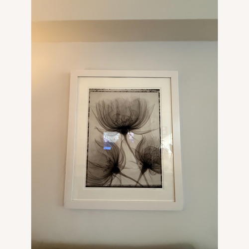 Used Framed Flower X Rays for sale on AptDeco
