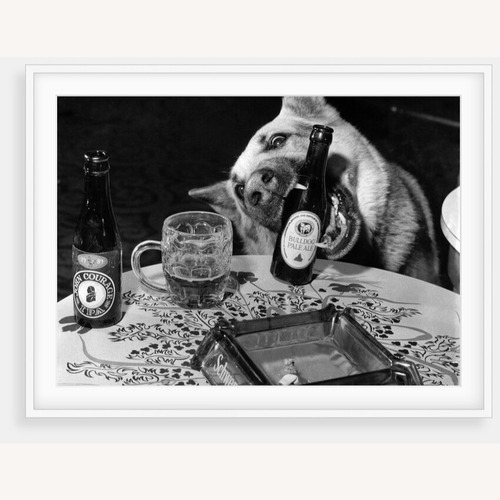 Used White Frame Print - Dog Acts as a Waiter for sale on AptDeco