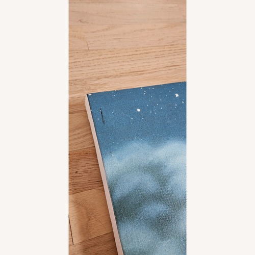 Used Walt Disney World Official Peter Pan Canvas Print for sale on AptDeco