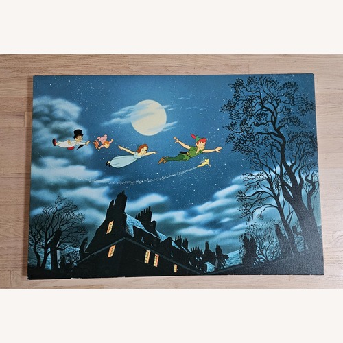 Used Walt Disney World Official Peter Pan Canvas Print for sale on AptDeco