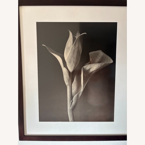 Used Tom Baril Hosta #2 (1998) Wall Art for sale on AptDeco