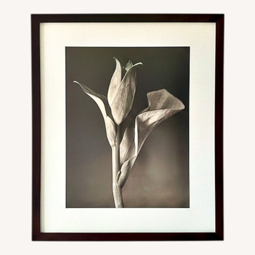 Used Tom Baril Hosta #2 (1998) Wall Art for sale on AptDeco