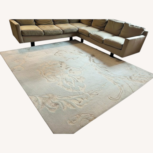Used Area Rug  for sale on AptDeco
