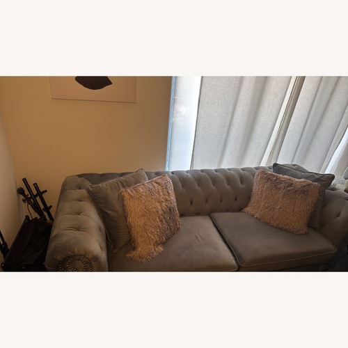 Used Light Gray Velvet 2 Seater Sofa for sale on AptDeco