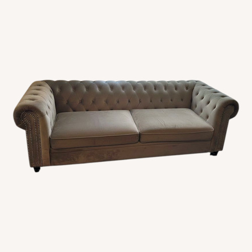 Used Light Gray Velvet 2 Seater Sofa for sale on AptDeco