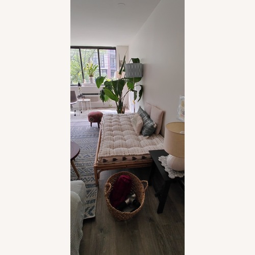 Used Anthropologie Peacock Natural Daybed for sale on AptDeco