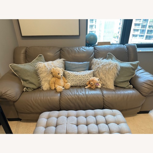 Used Light Gray 3+ Seater Sofa for sale on AptDeco