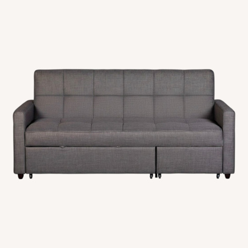 Used Skylar Pull Out Sleeper Sofa for sale on AptDeco