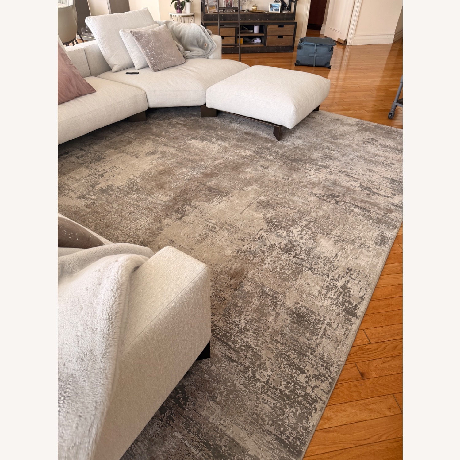 Addison House  Viscose+Acrylic Area Rug - image-2