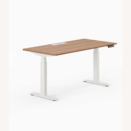 Used West Elm Branch Light Brown Wood Desk for sale on AptDeco