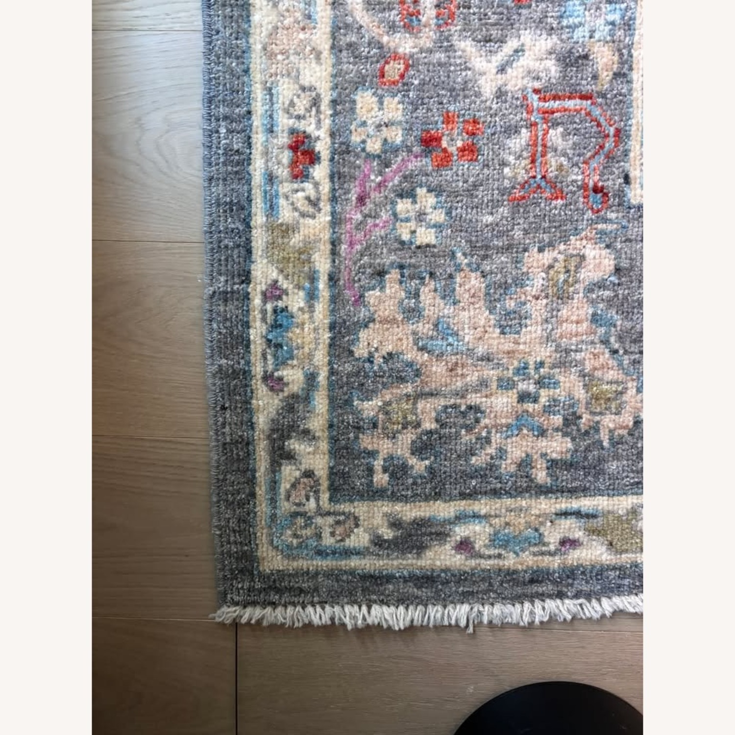 ZZ Driggs Supernova Angora Oushak Area Rug - image-5