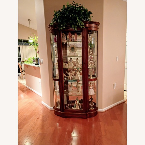 Used Lighted Curio Cabinet for sale on AptDeco