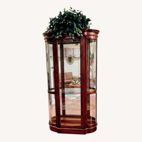 Used Lighted Curio Cabinet for sale on AptDeco