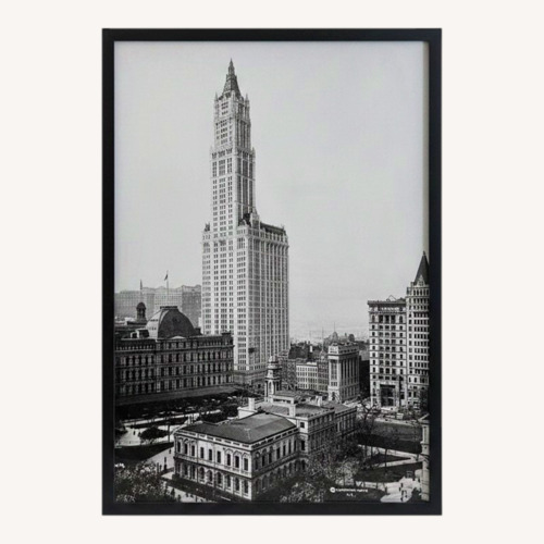 Used Classic Black/White of Woolworth Building NYC for sale on AptDeco