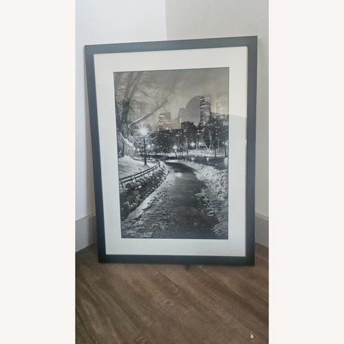 Used Black/White Photo of Center Park Winter for sale on AptDeco