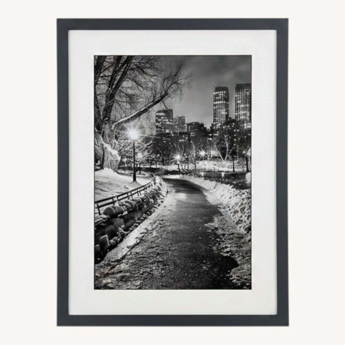 Used Black/White Photo of Center Park Winter for sale on AptDeco