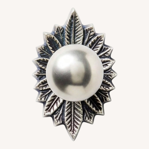 Used Anthropologie Silver Brass Demeter Feather Knobs for sale on AptDeco