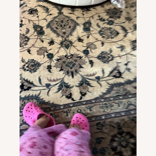 Used Beige Flower Rug Double Knotted for sale on AptDeco