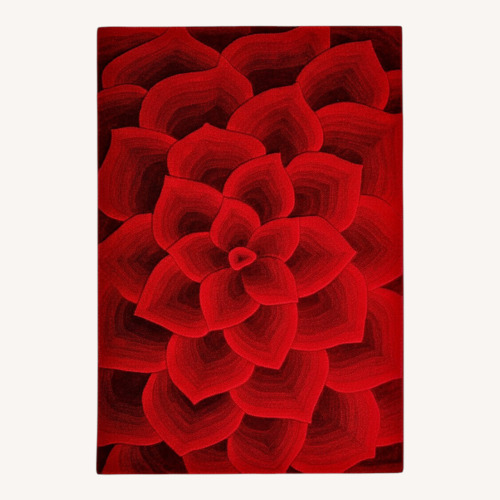 Used Pier 1 Imports Tapis Red Wool Area Rug 9' x 12'  for sale on AptDeco